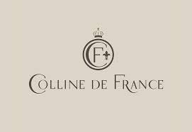 Hotel Colline de France